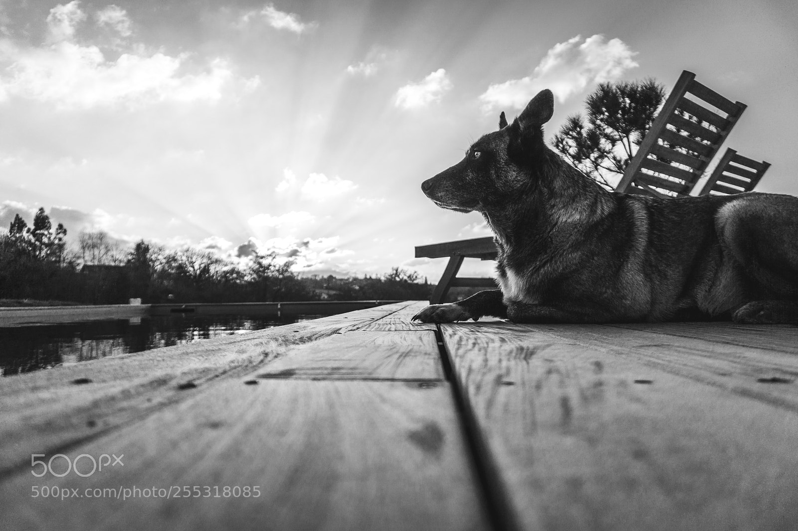 Sony a6000 sample photo. La javanaise photography