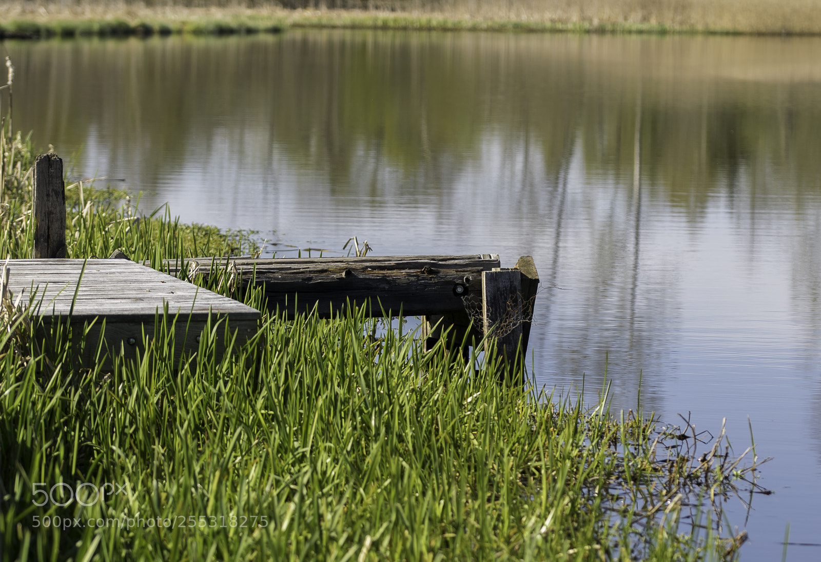 Nikon D5300 sample photo. Nature o photography