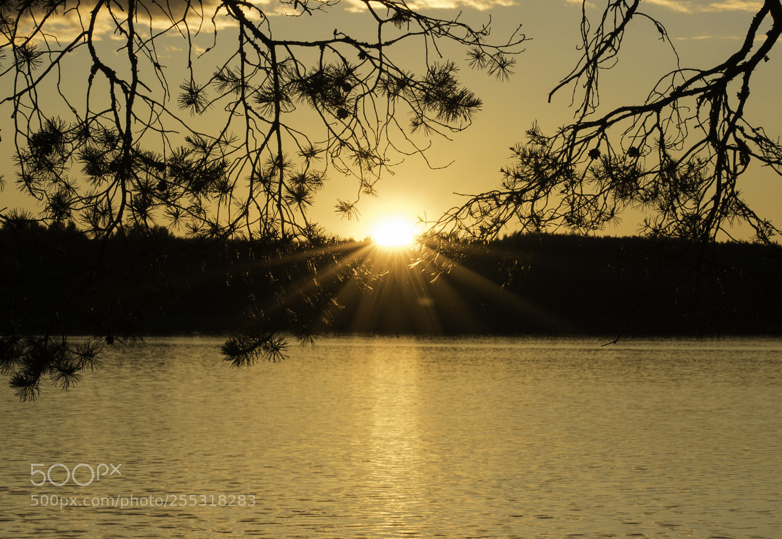 Nikon D5300 sample photo. Nature o photography