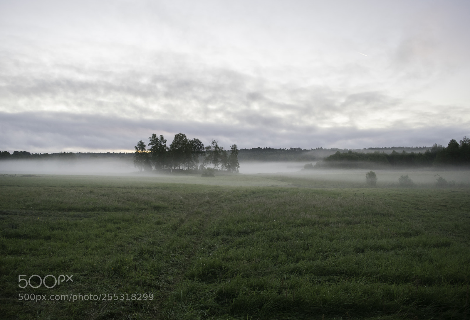 Nikon D5300 sample photo. Nature o photography