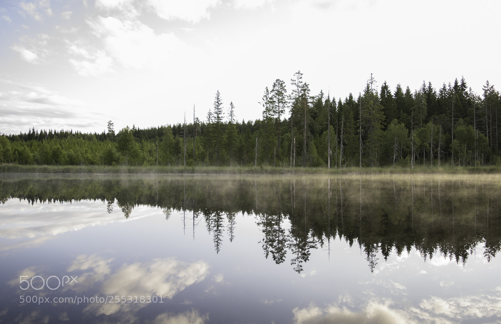Nikon D5300 sample photo. Nature o photography