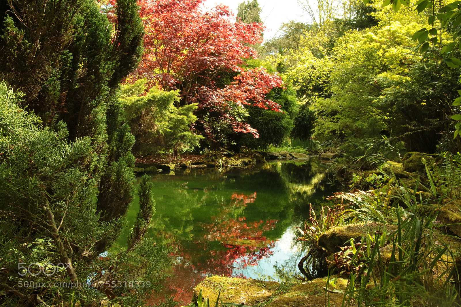 Canon EOS 70D sample photo. Secret garden photography