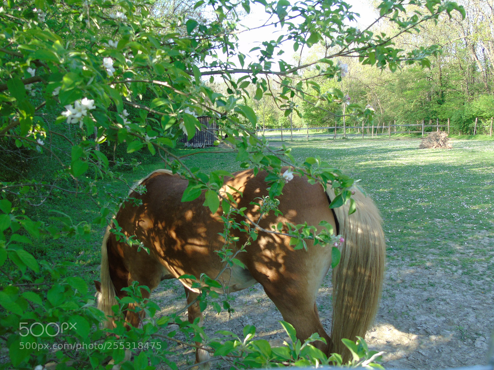 Sony Cyber-shot DSC-H400 sample photo. +++ photography