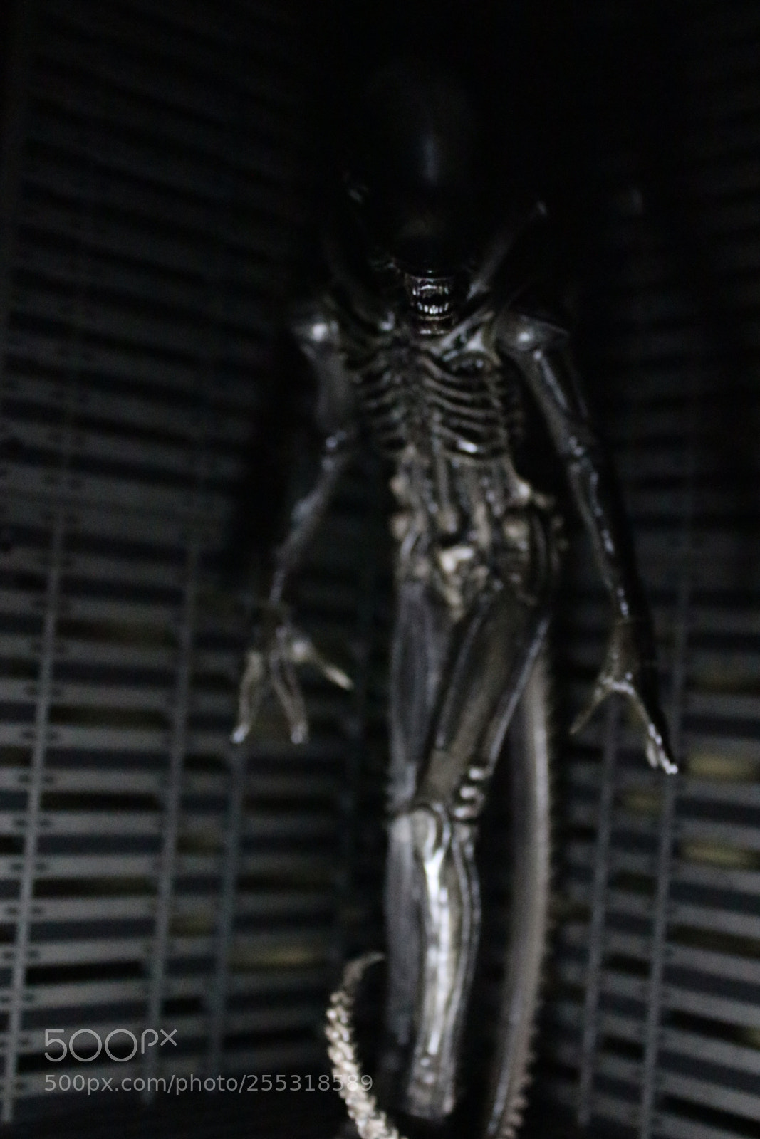 Canon EOS 700D (EOS Rebel T5i / EOS Kiss X7i) sample photo. Alien photography