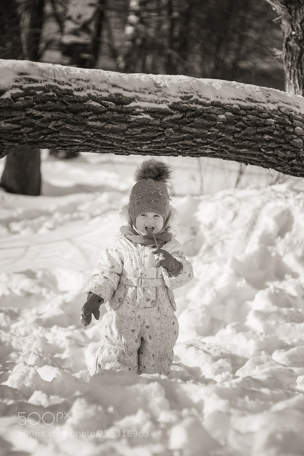 Canon EOS 5D sample photo. Ce fcbforig photography