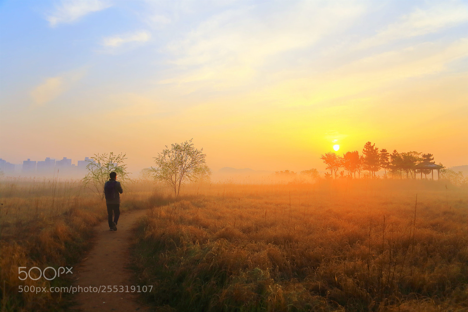 Canon EOS 6D sample photo. Morning walk photography