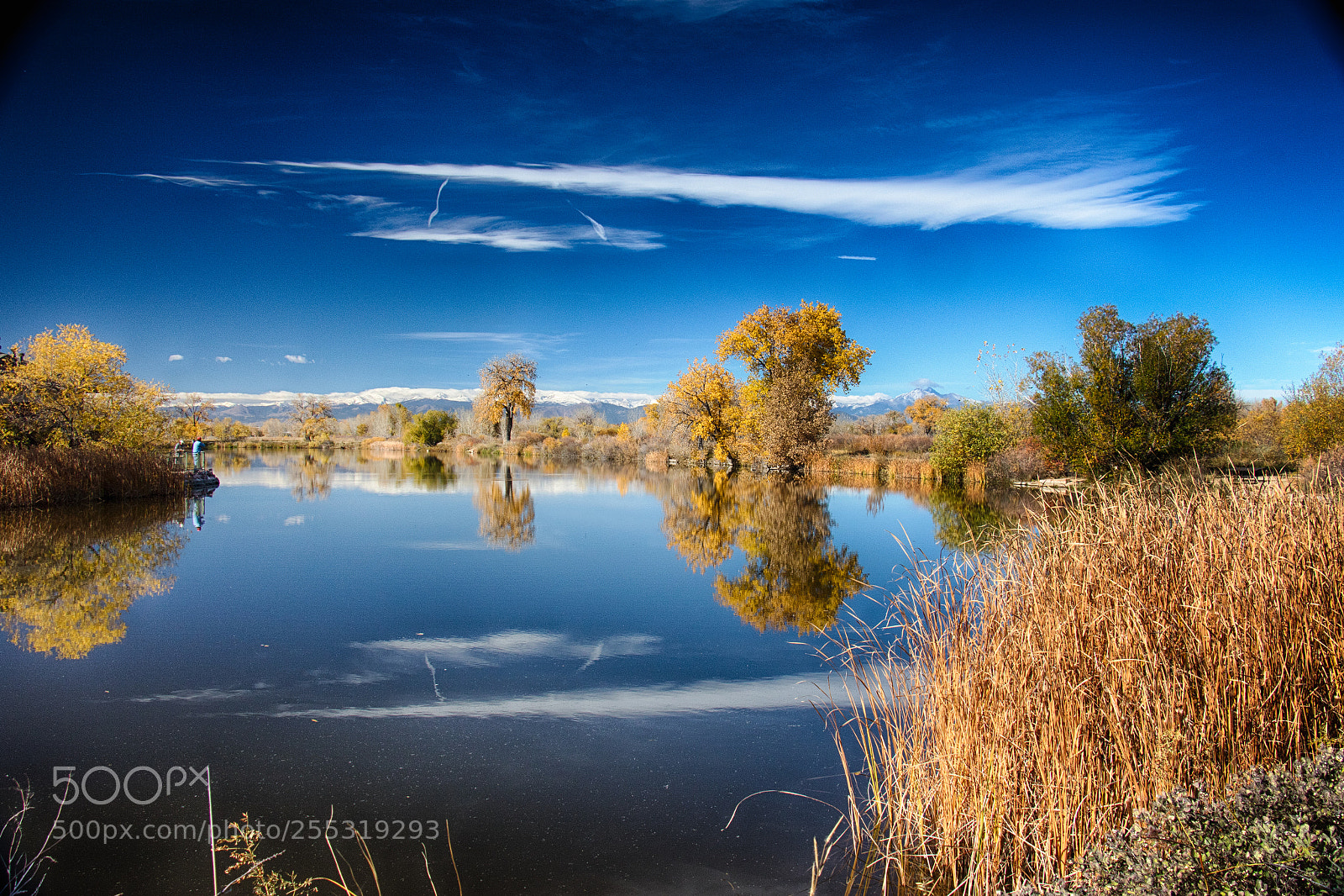Canon EOS 7D Mark II sample photo. Fall day at the photography
