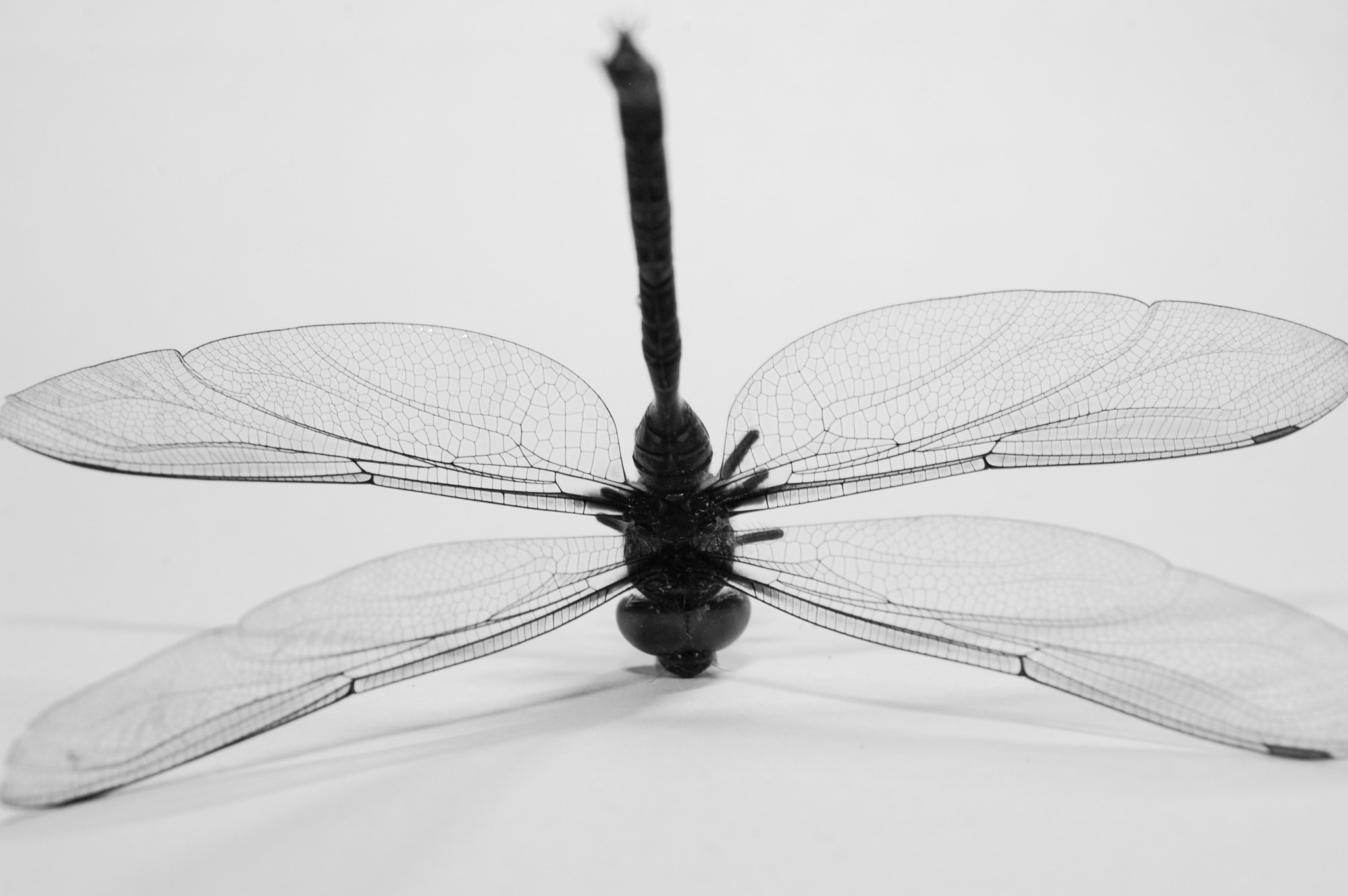 let's do it upside down by IMAN ADAM / 500px