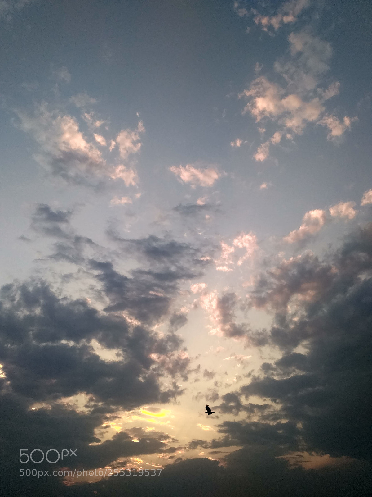 Xiaomi Redmi 3S sample photo. Untitled photography