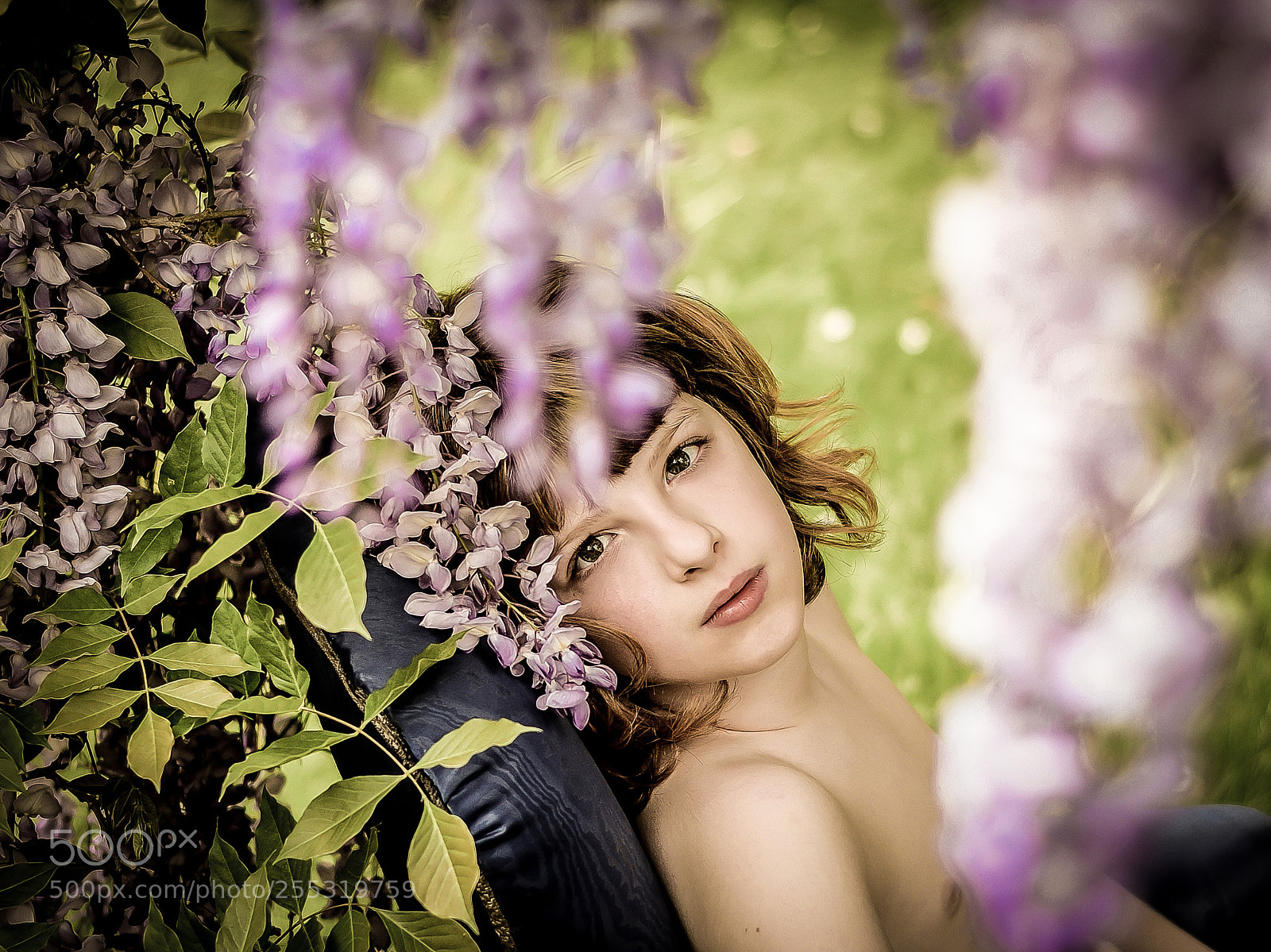 Nikon D5300 sample photo. Lazy dorian gray in photography