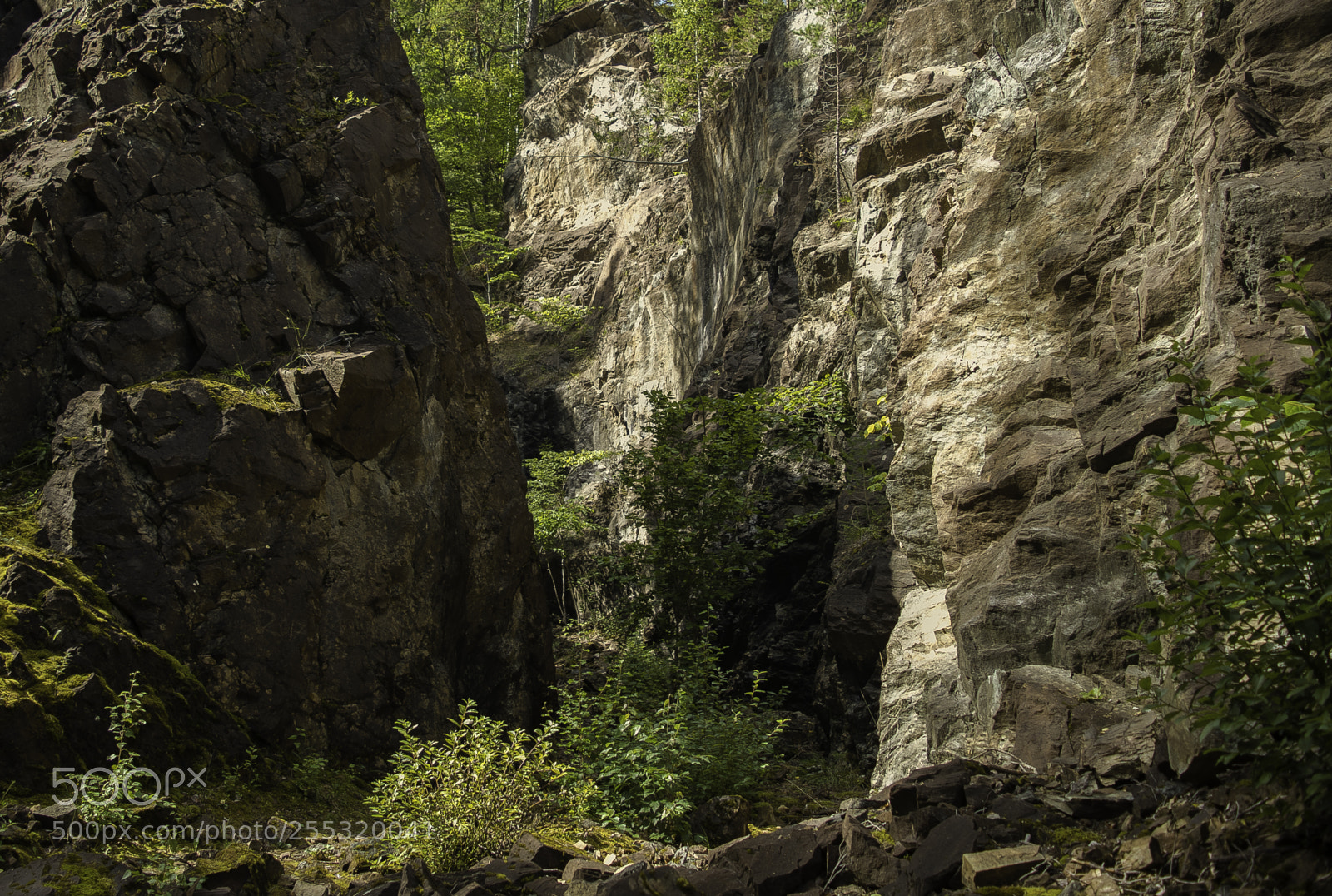 Nikon D5300 sample photo. Nature o photography