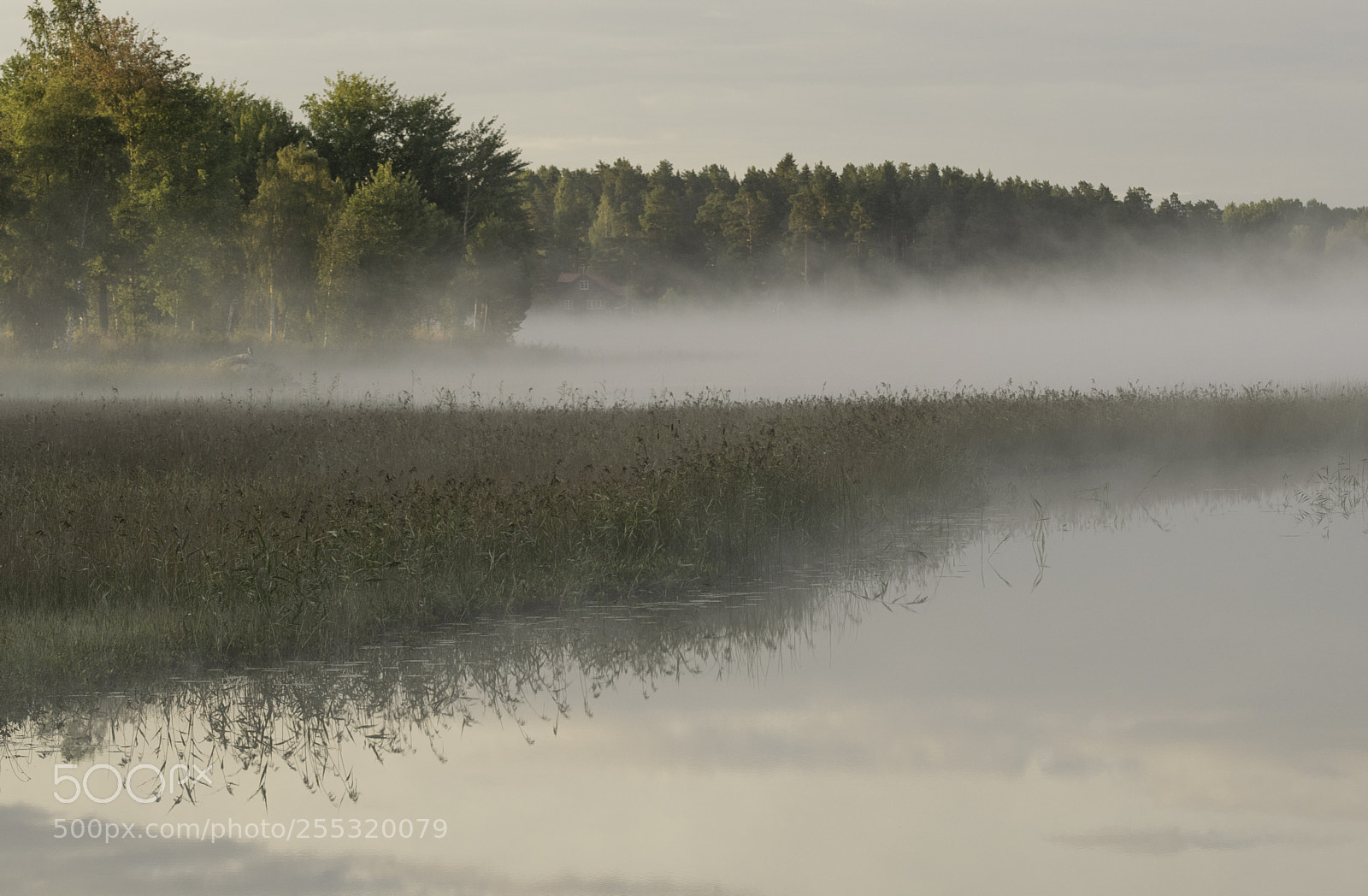 Nikon D5300 sample photo. Nature o photography