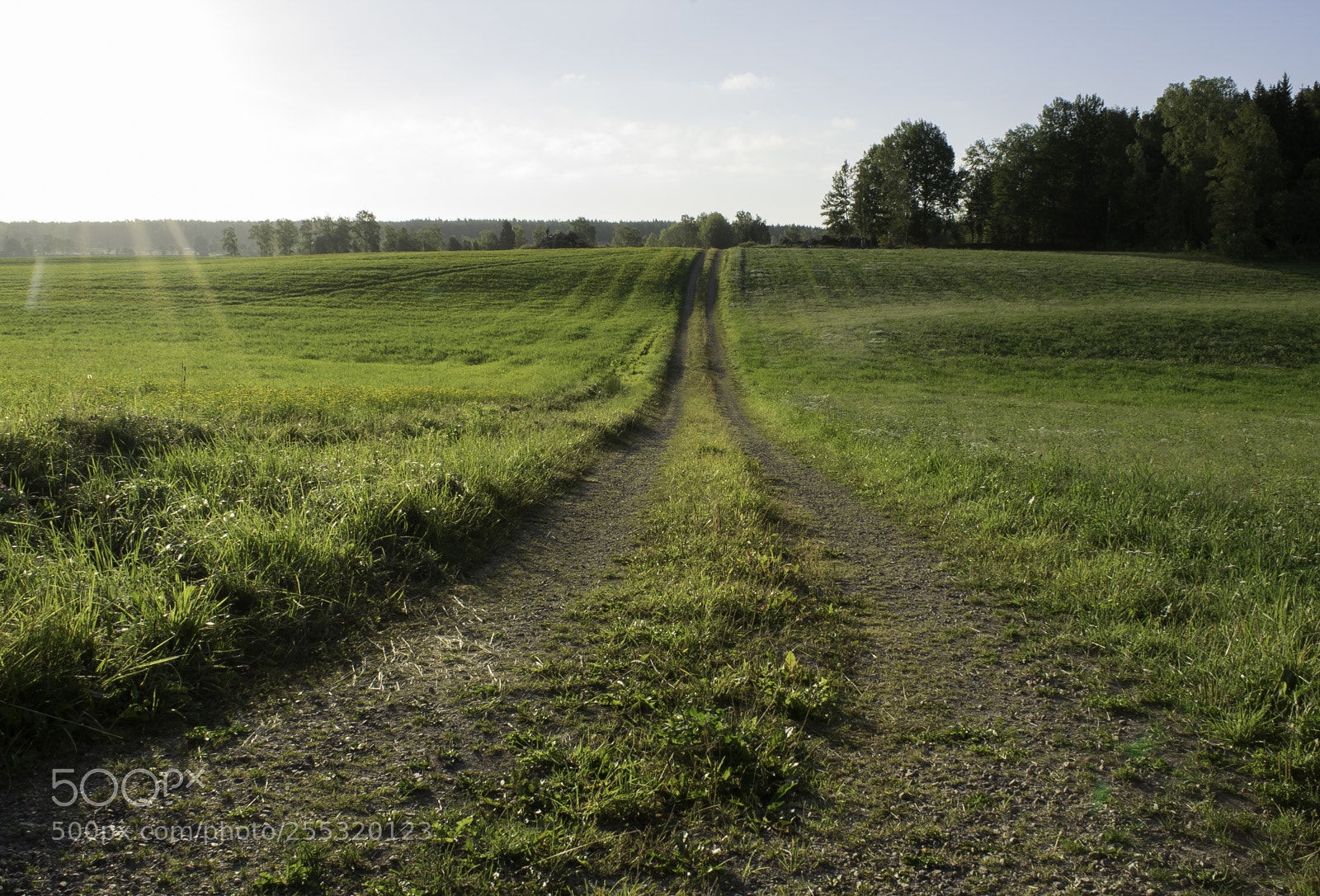 Nikon D5300 sample photo. Nature o photography
