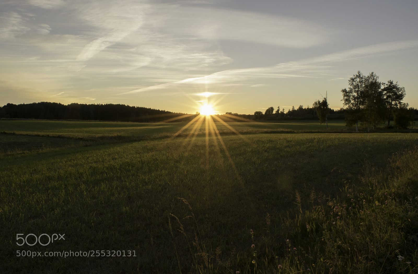 Nikon D5300 sample photo. Nature o photography