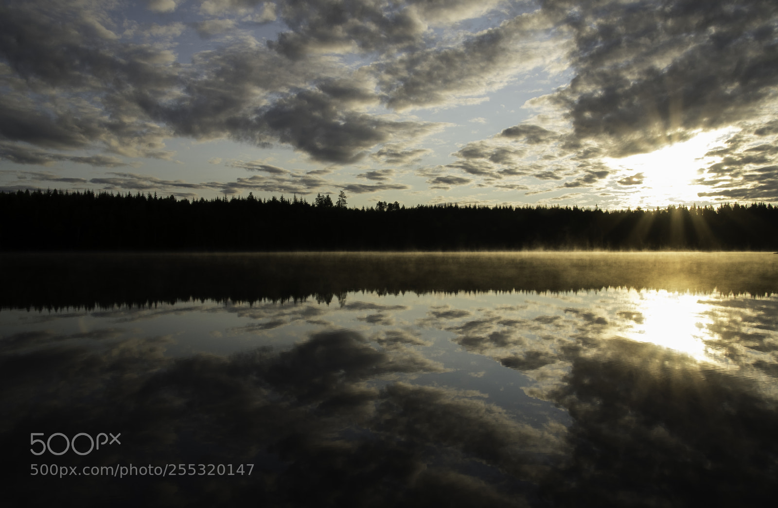 Nikon D5300 sample photo. Nature o photography