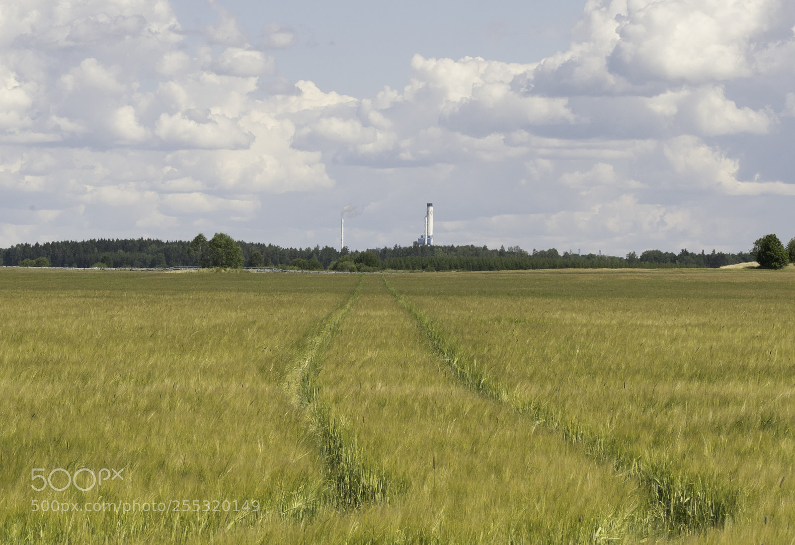 Nikon D5300 sample photo. Nature o photography