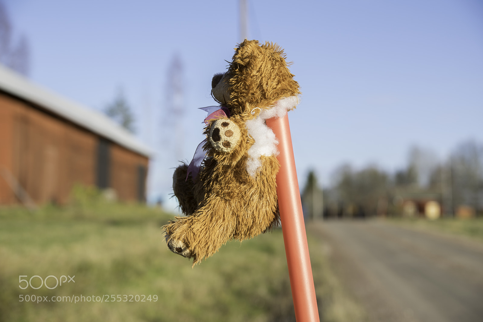 Nikon D5300 sample photo. Nature o photography