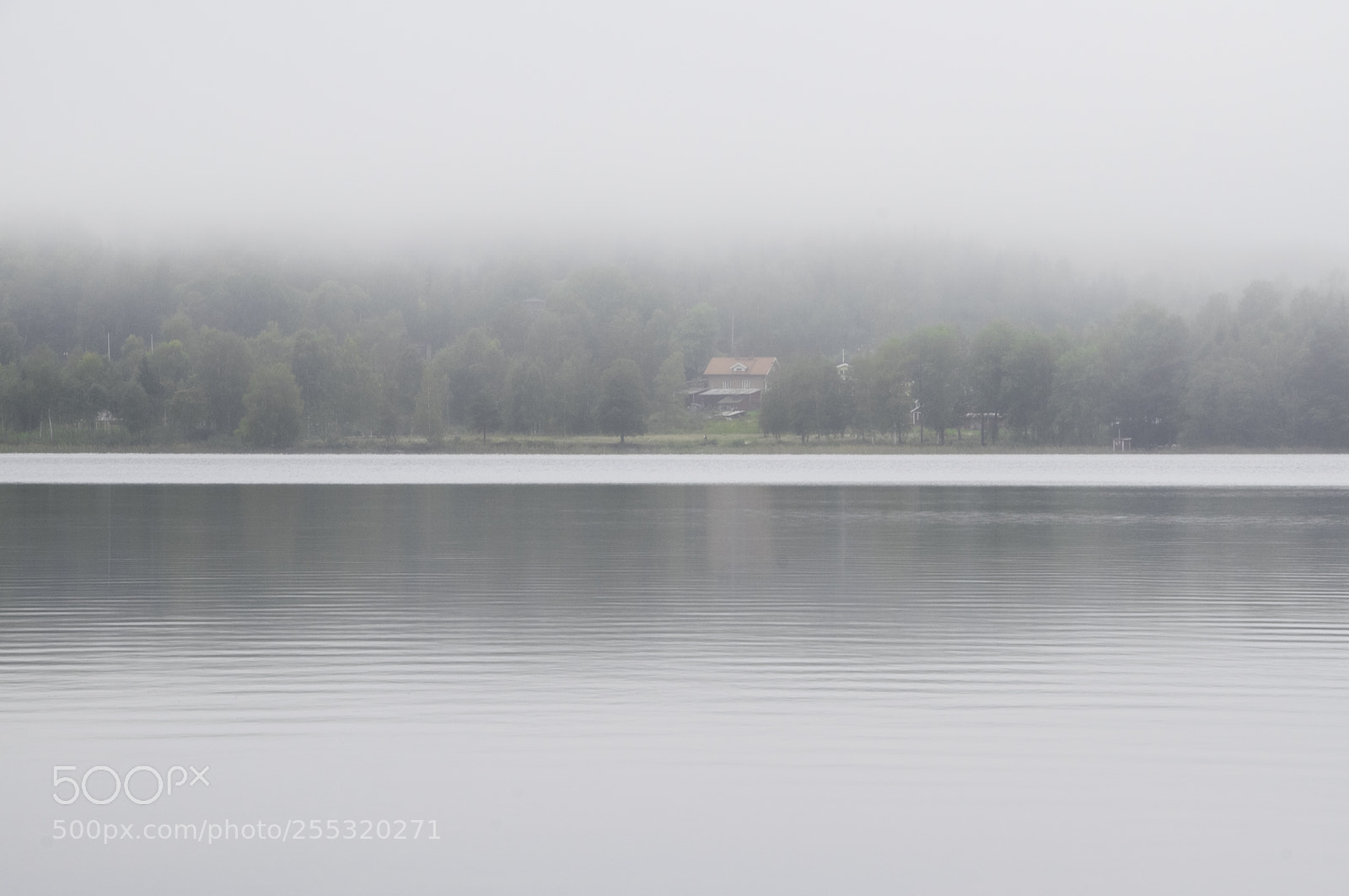 Nikon D5300 sample photo. Nature o photography