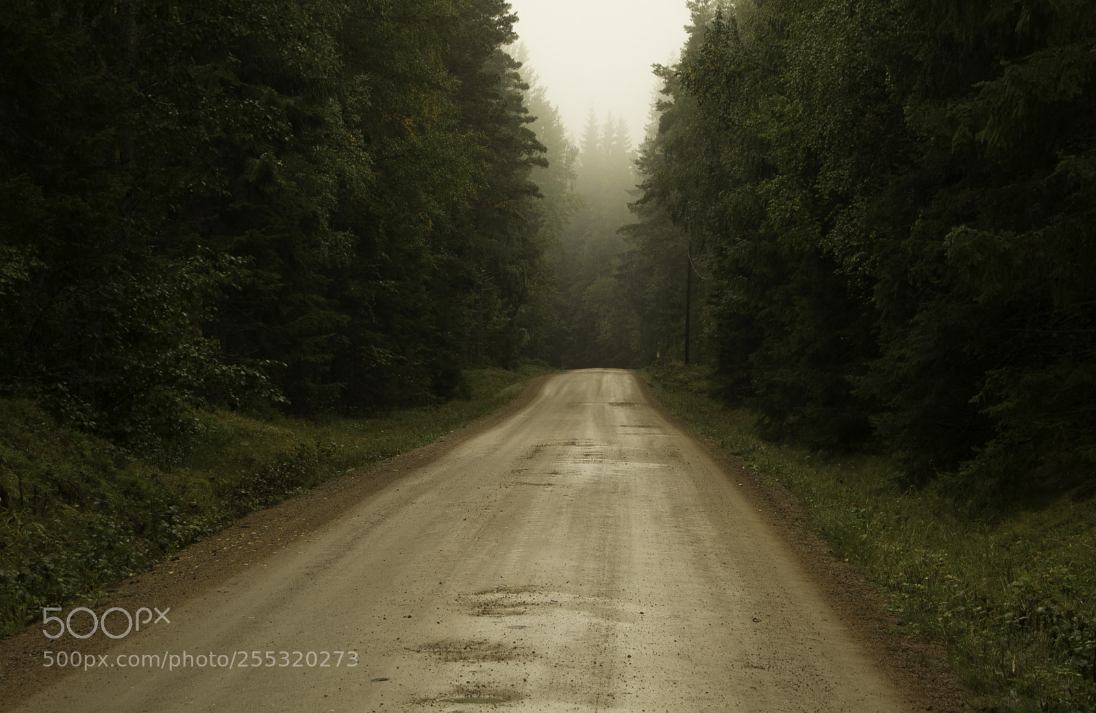Nikon D5300 sample photo. Nature o photography