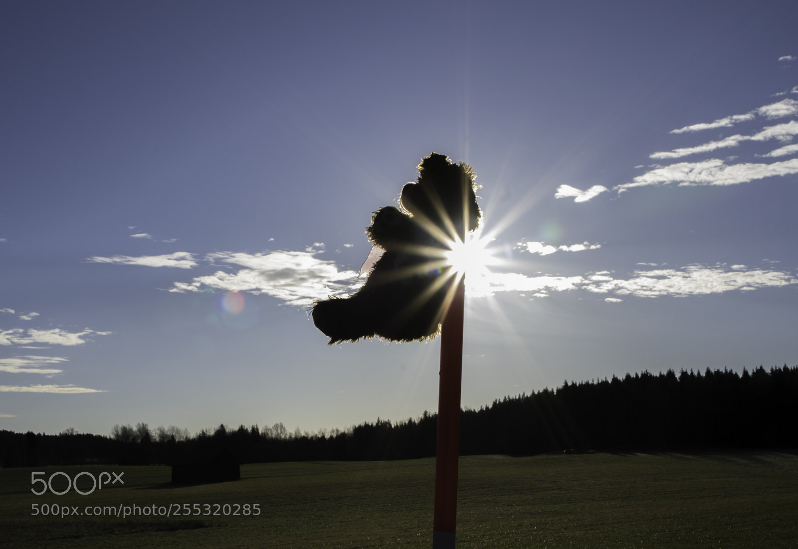 Nikon D5300 sample photo. Nature o photography