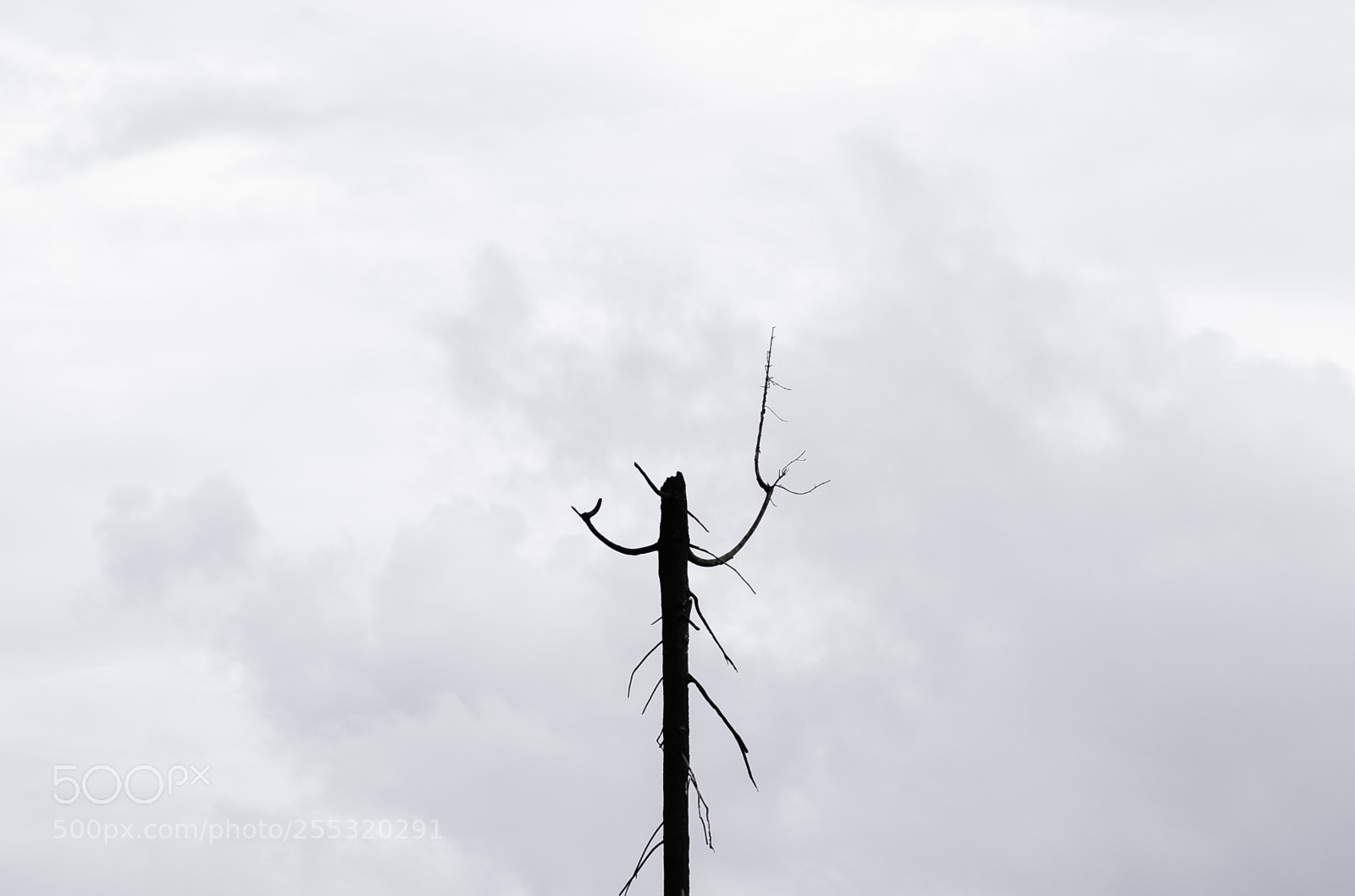 Nikon D5300 sample photo. Nature o photography