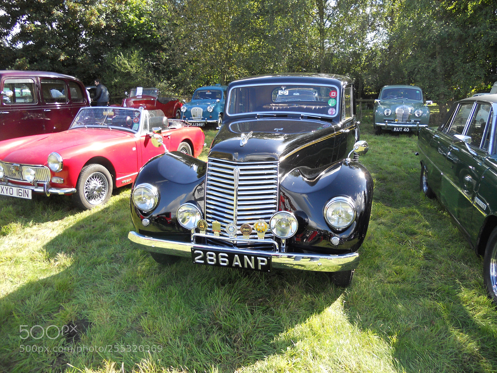 Nikon COOLPIX S2500 sample photo. Assorted paraphernalia! cheddington, bucks photography