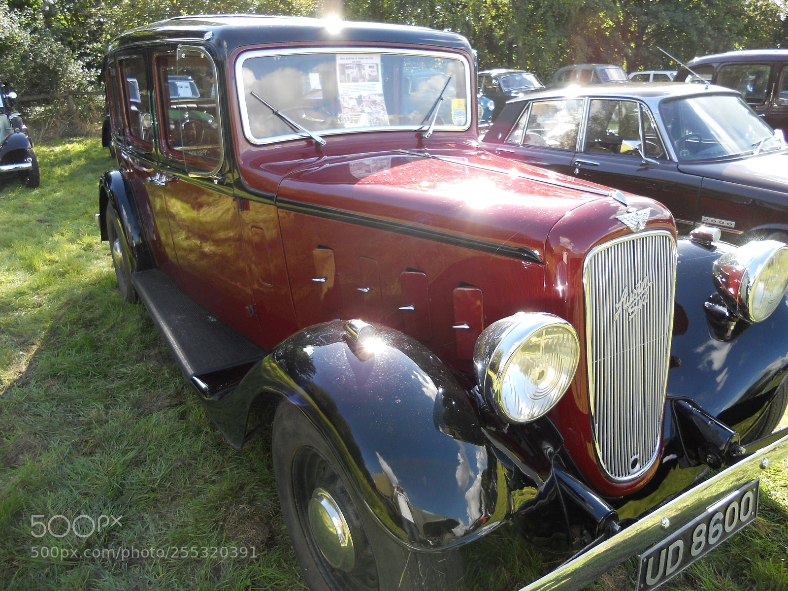 Nikon COOLPIX S2500 sample photo. Assorted paraphernalia! cheddington, bucks photography