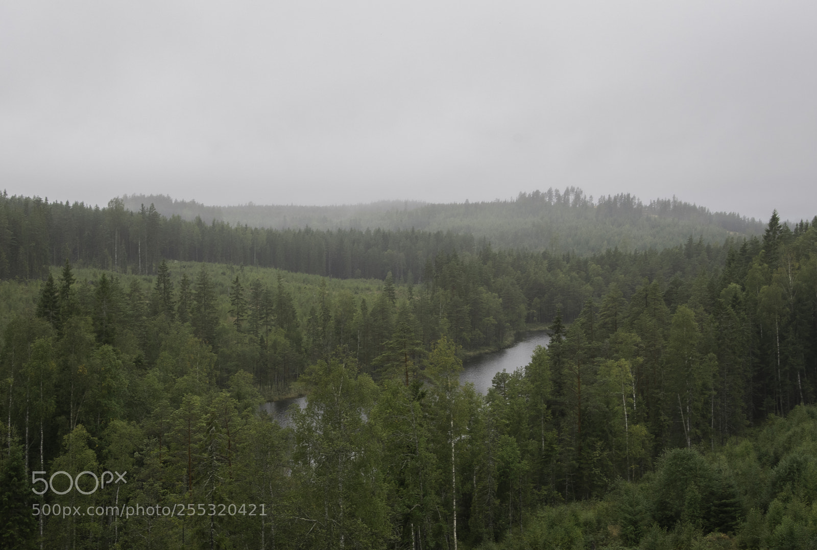 Nikon D5300 sample photo. Nature o photography