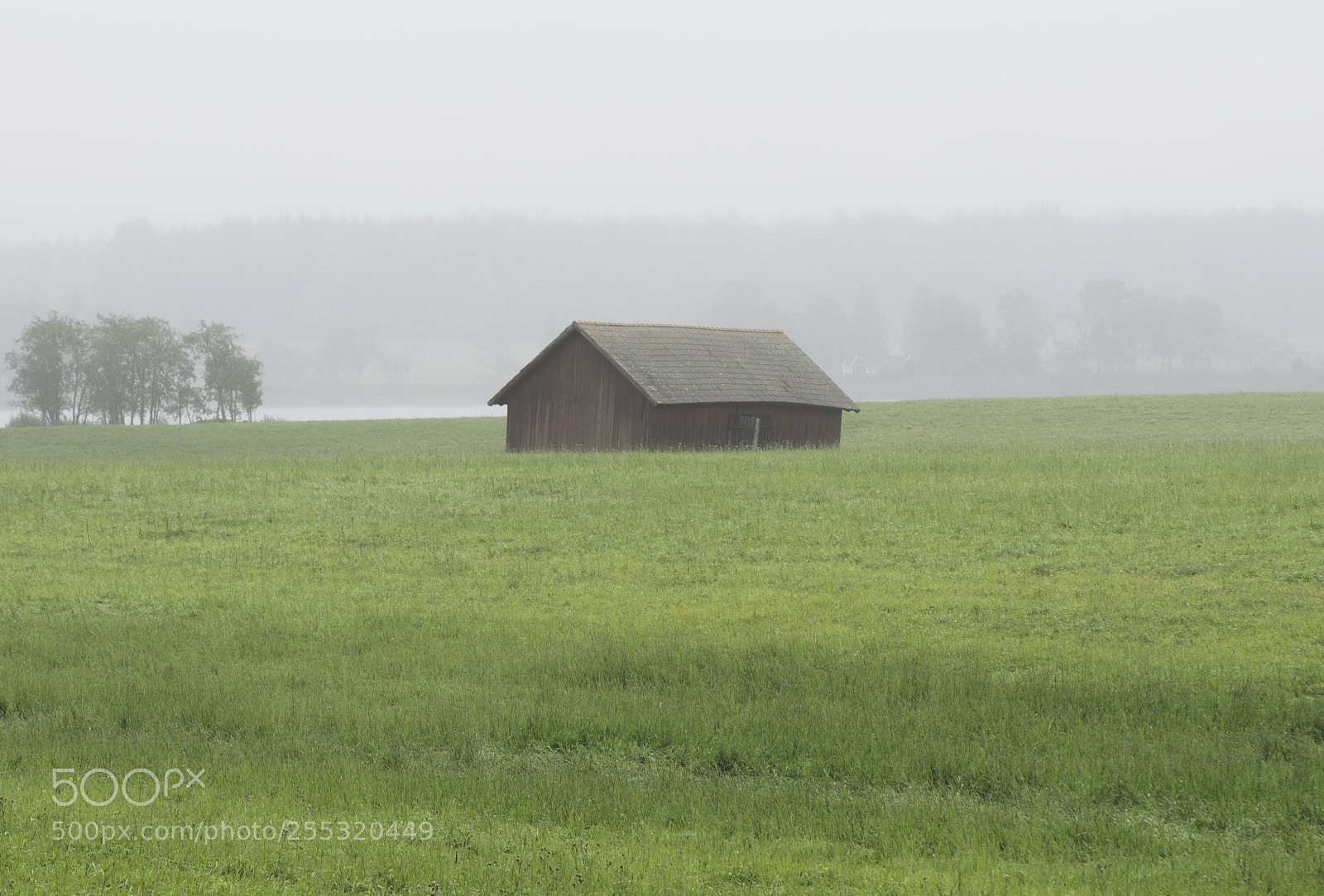 Nikon D5300 sample photo. Nature o photography