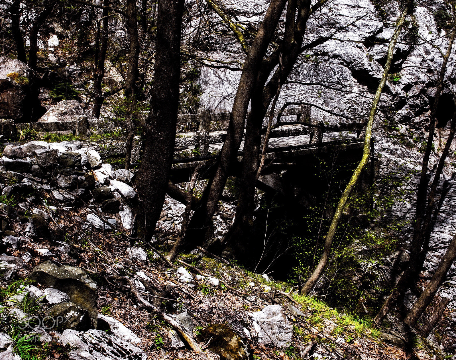 Canon EOS 700D (EOS Rebel T5i / EOS Kiss X7i) sample photo. Bridge... photography