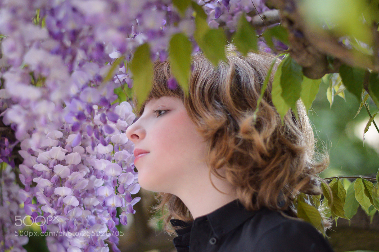Nikon D5300 sample photo. Lilac time photography