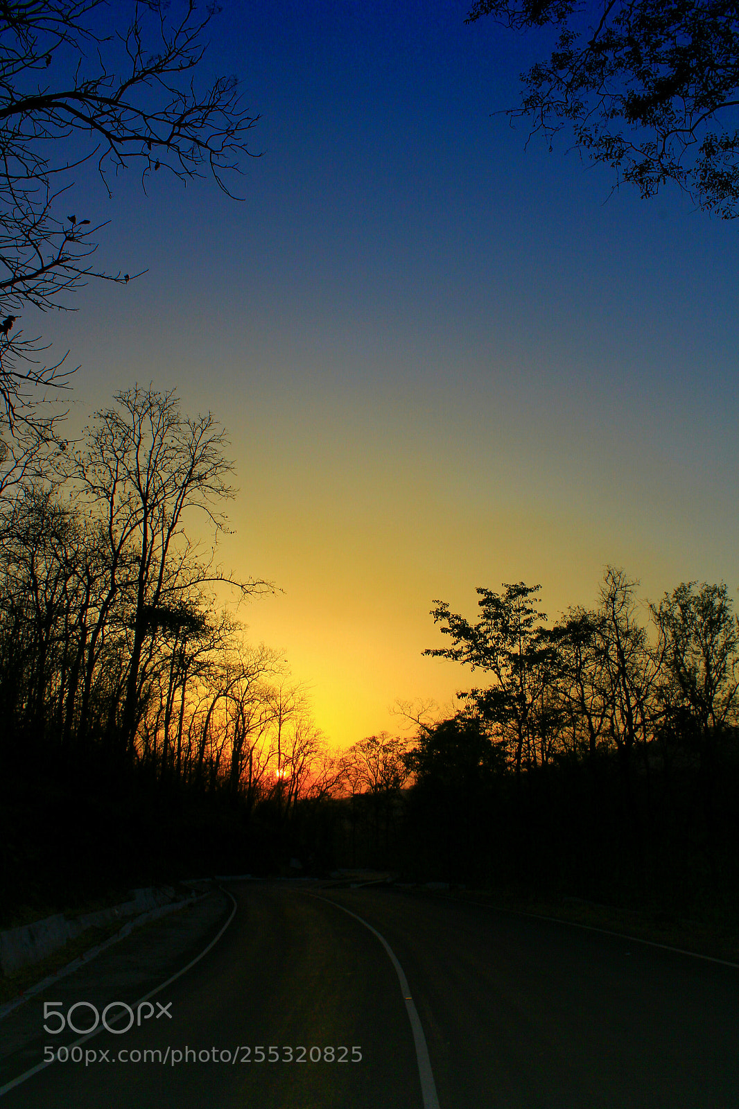 Canon EOS 60D sample photo. Hodophile photography