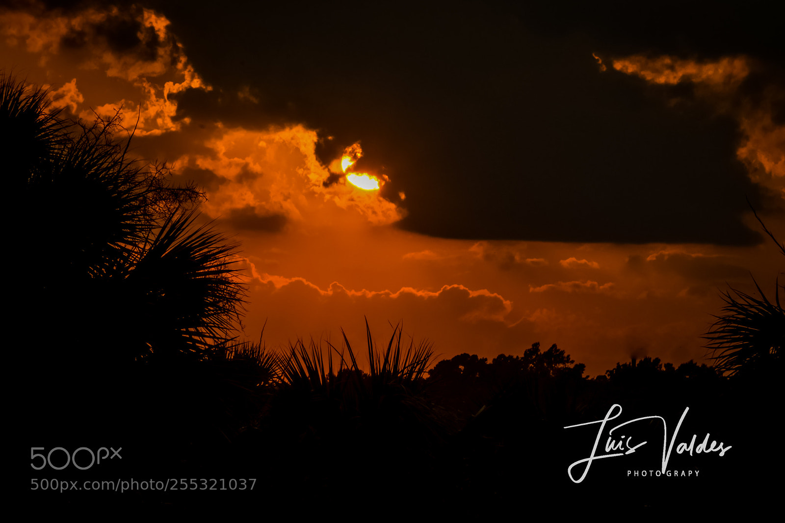 Nikon D7200 sample photo. Sunrise! photography