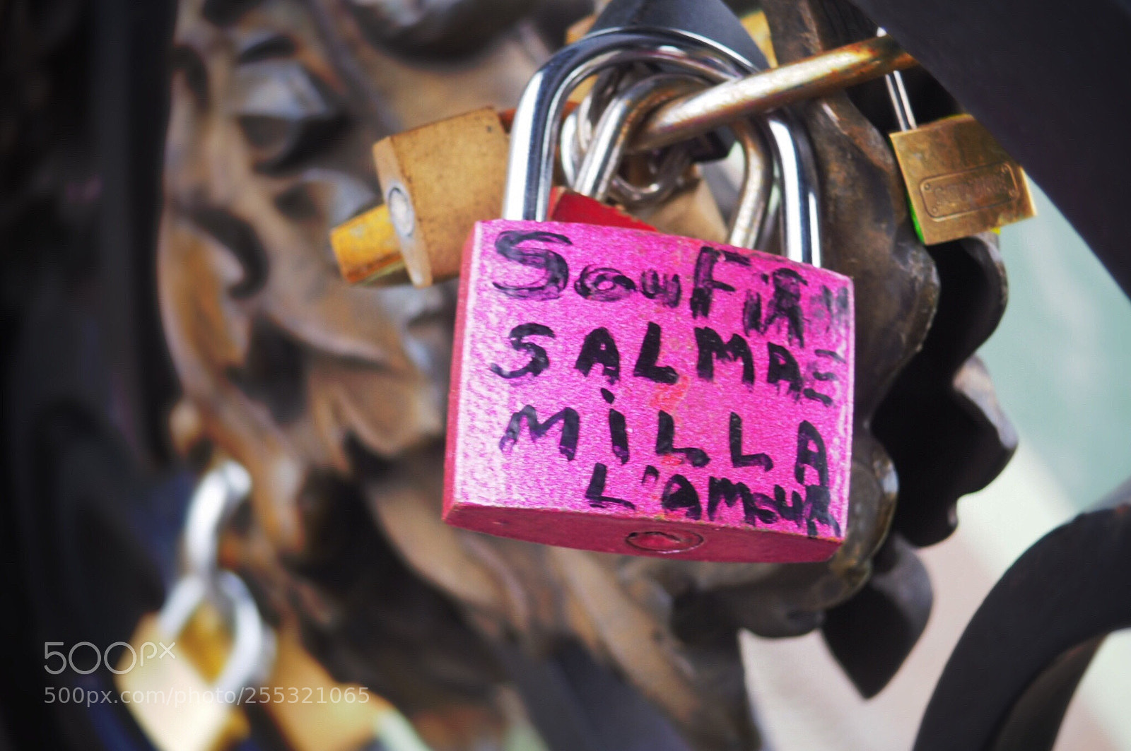 Olympus OM-D E-M10 II sample photo. Bridge lock photography