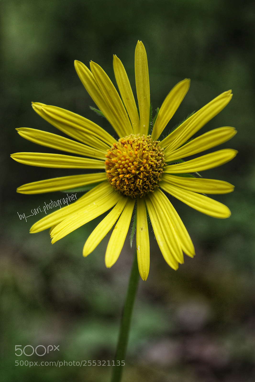Canon EOS 7D Mark II sample photo. Untitled photography