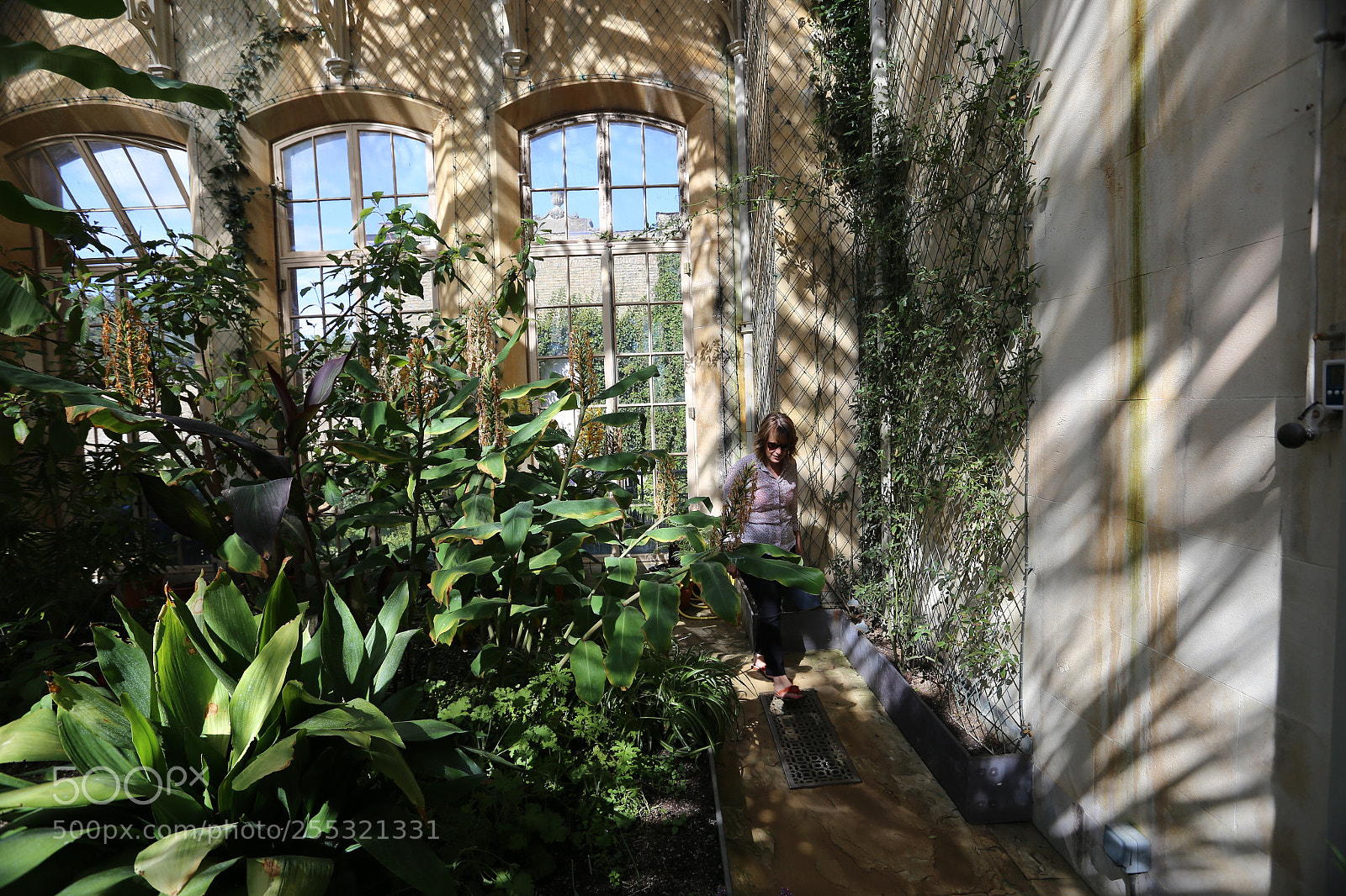 Canon EOS 6D sample photo. Wrest park, silsoe, bedfordshire photography