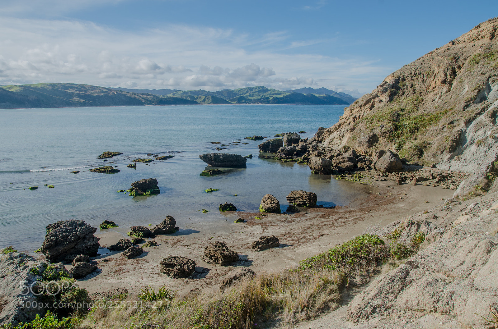 Nikon D7000 sample photo. Castle point cove photography