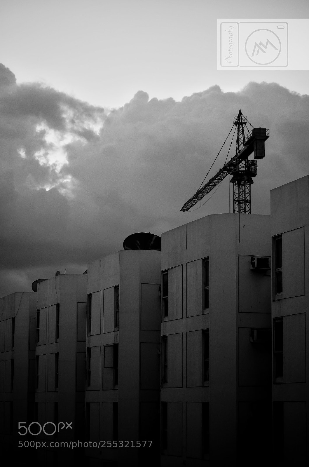 Nikon D5100 sample photo. Rising from the darkness photography