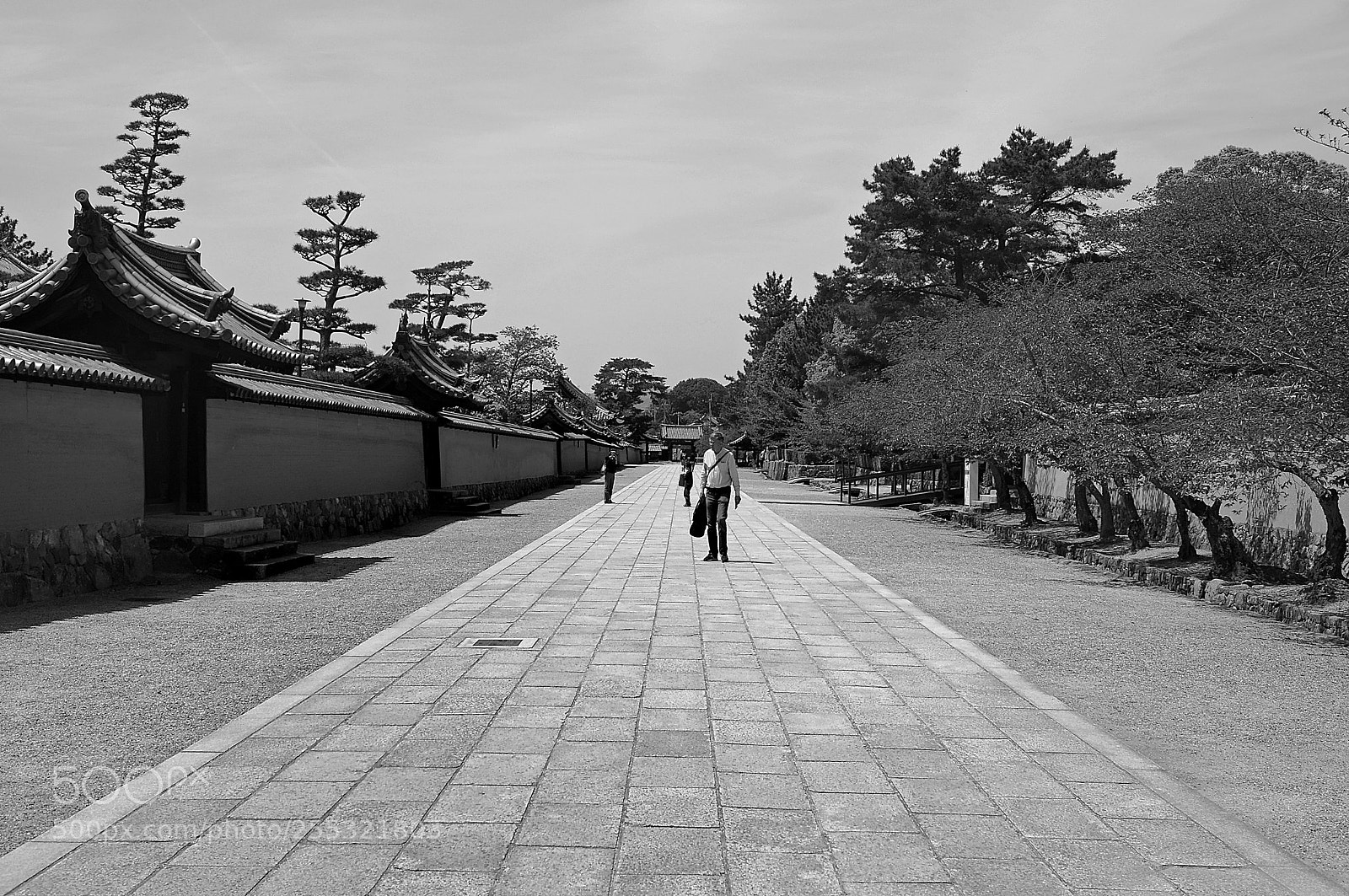 Sony Alpha NEX-6 sample photo. In nara photography