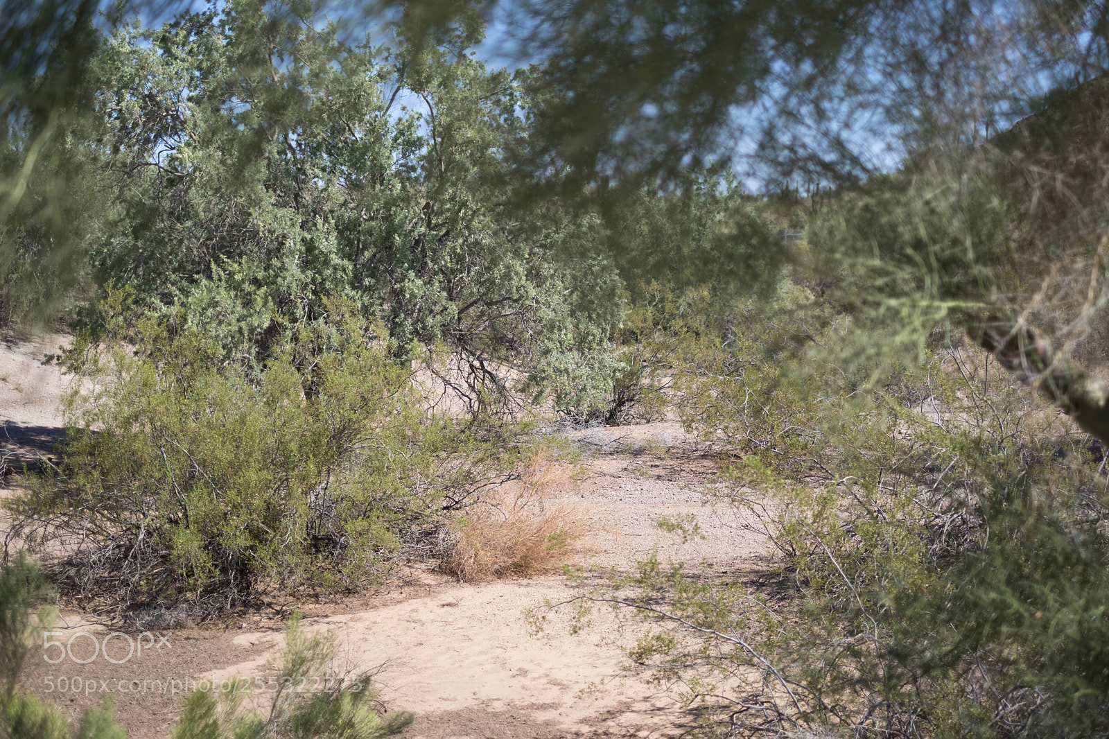 Fujifilm X-T2 sample photo. Desert photography