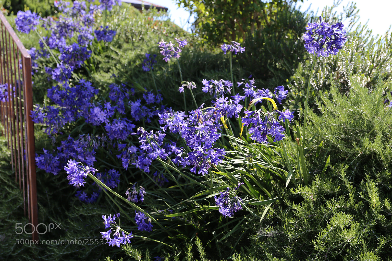 Canon EOS 6D sample photo. Lake garda, italy photography