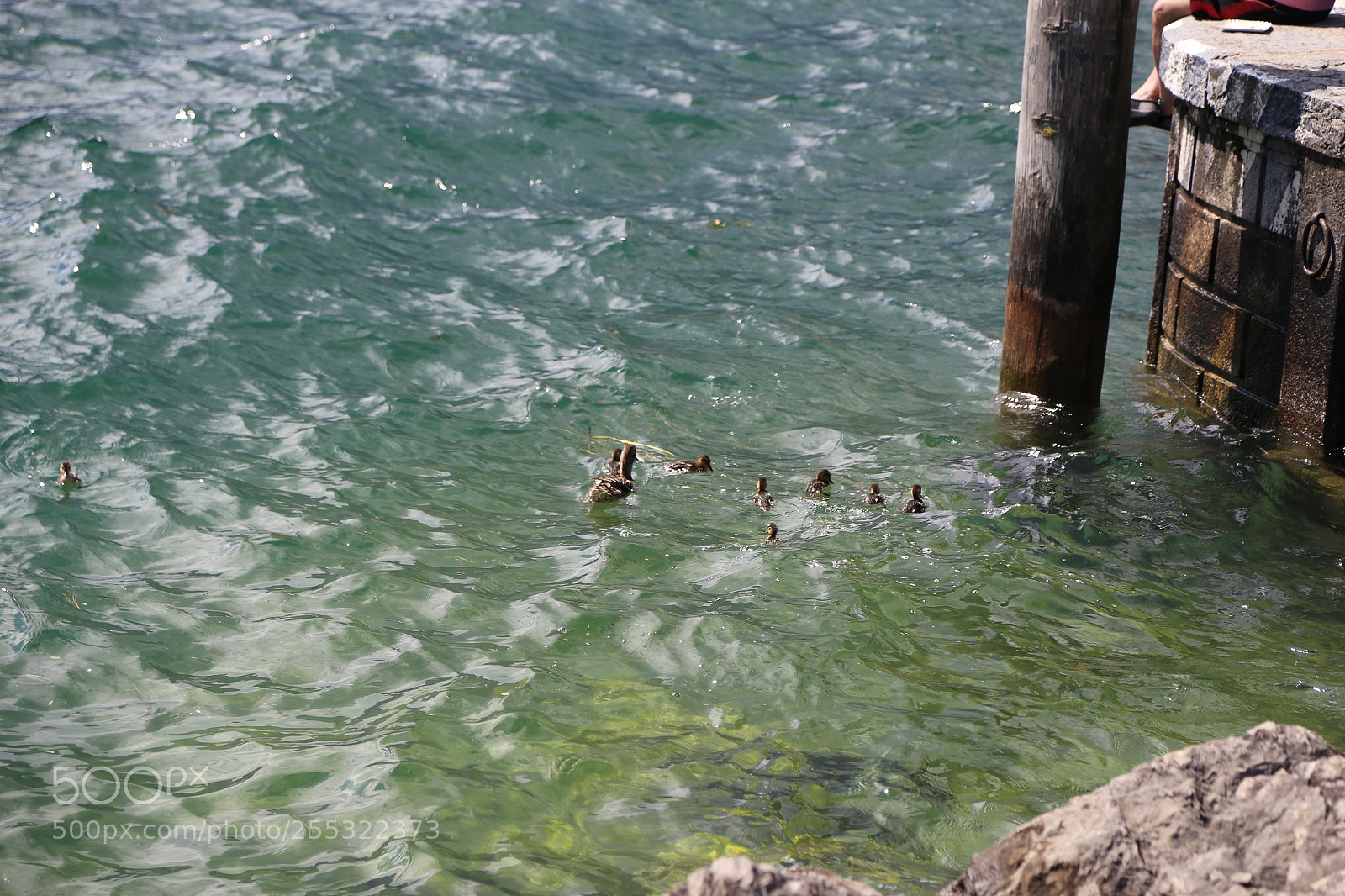 Canon EOS 6D sample photo. Lake garda, italy photography