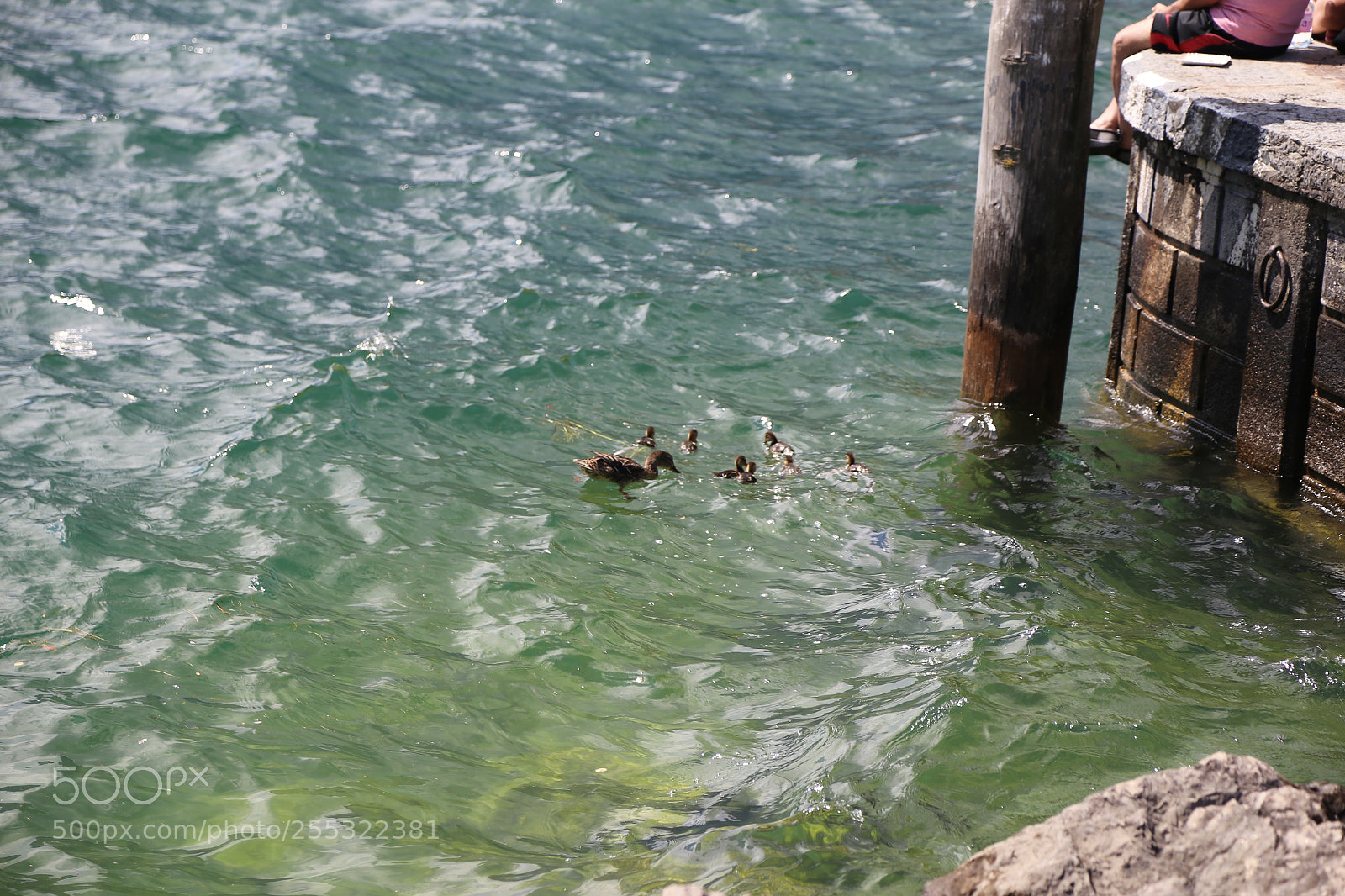 Canon EOS 6D sample photo. Lake garda, italy photography
