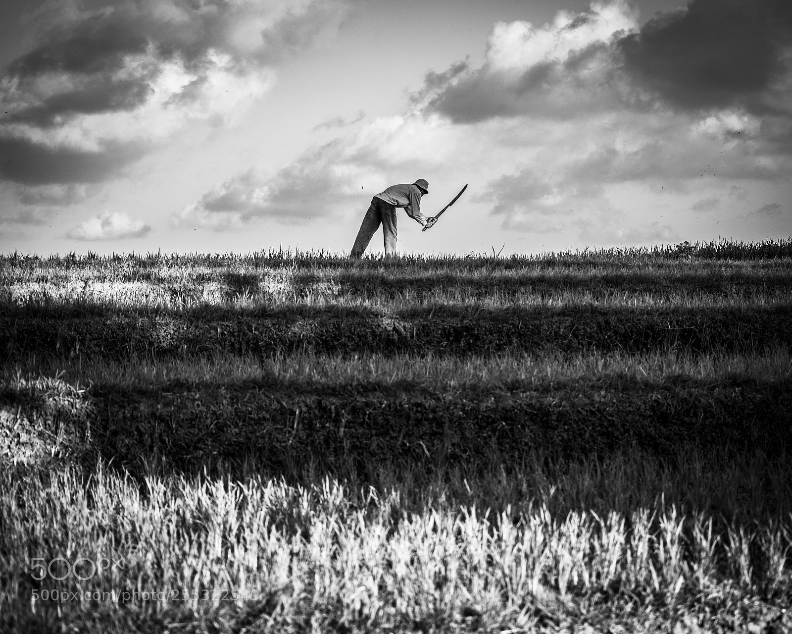 Nikon D5200 sample photo. Harvest photography
