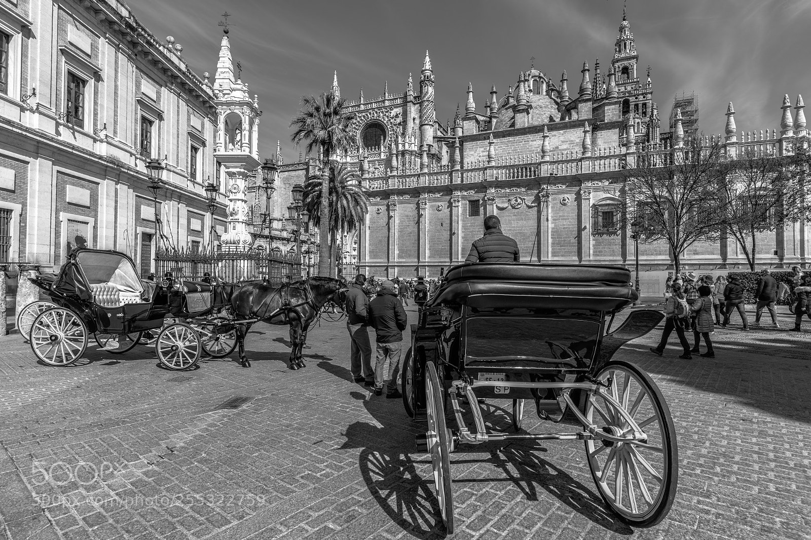 Canon EOS 5DS R sample photo. Catedral sevilla b&w photography