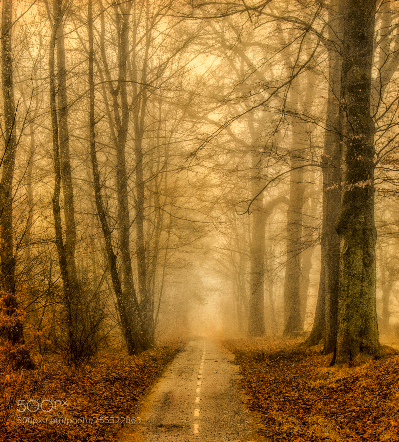 Canon EOS 6D sample photo. Small road in the photography