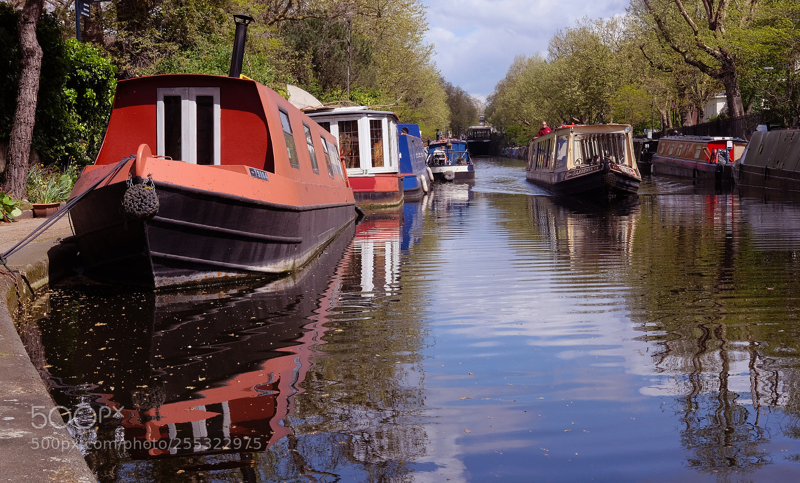 Fujifilm X-T1 sample photo. Warwick avenue photography