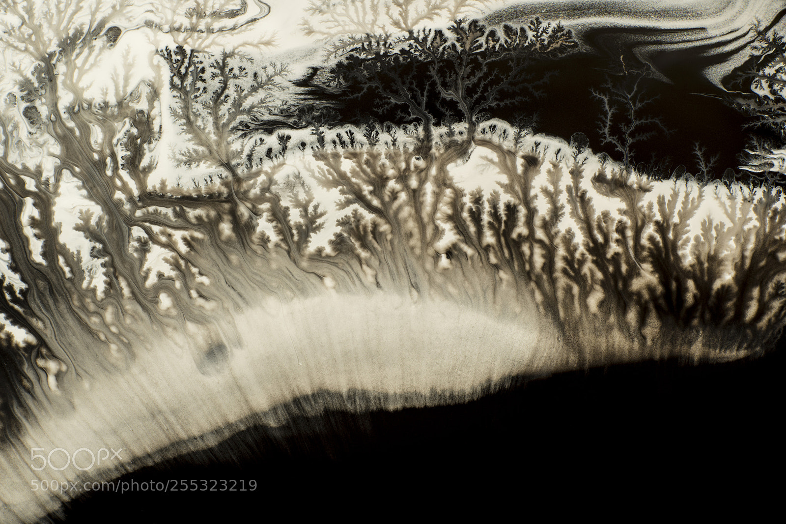 Sony a7R sample photo. Plate 7245 photography