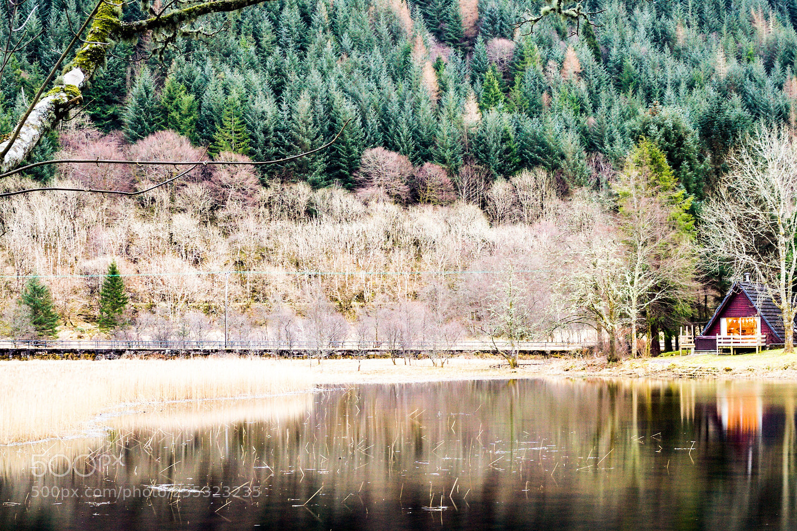 Canon EOS-1D Mark III sample photo. Lonely island photography
