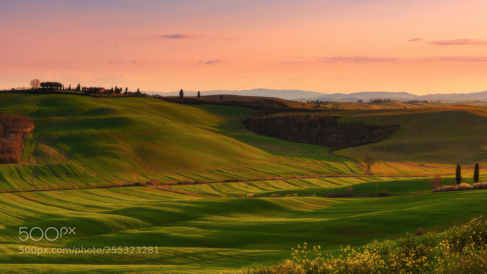 Nikon D810 sample photo. Spring time in tuscany photography